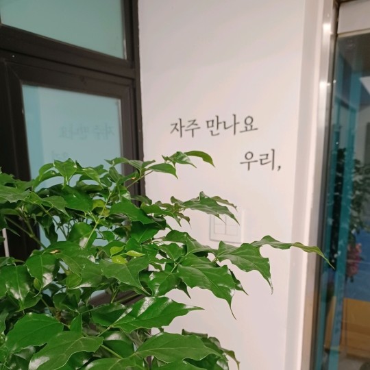 Gallery Image 23